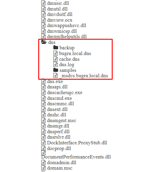 dnspath.png