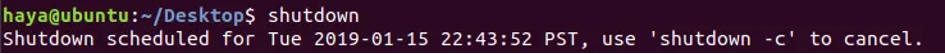 19.png